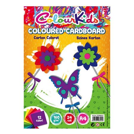 CARTON COPIATOR A4 AS MIXT 160G 12 CUL 24/TOP COLOUR KIDS PIGNA CARTON COPIATOR A4 AS MIXT 160G 12 CUL 24/TOP COLOUR KIDS PIGNA